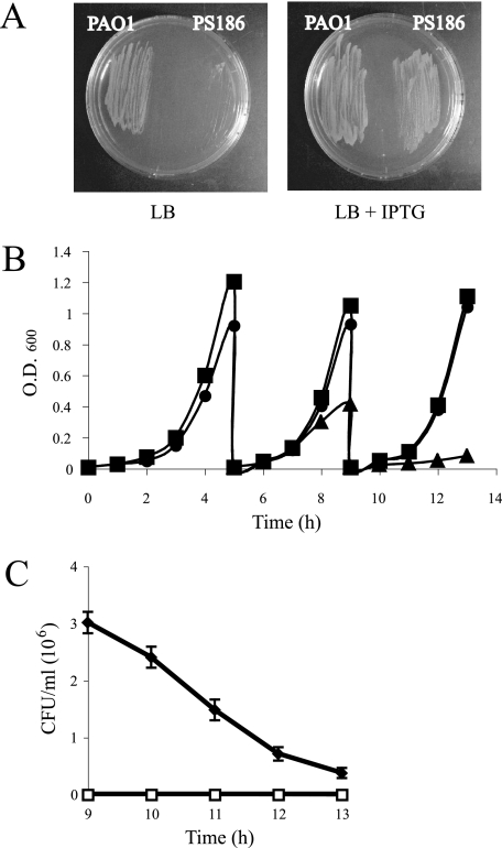 FIG. 1.