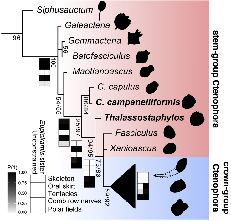 Figure 5