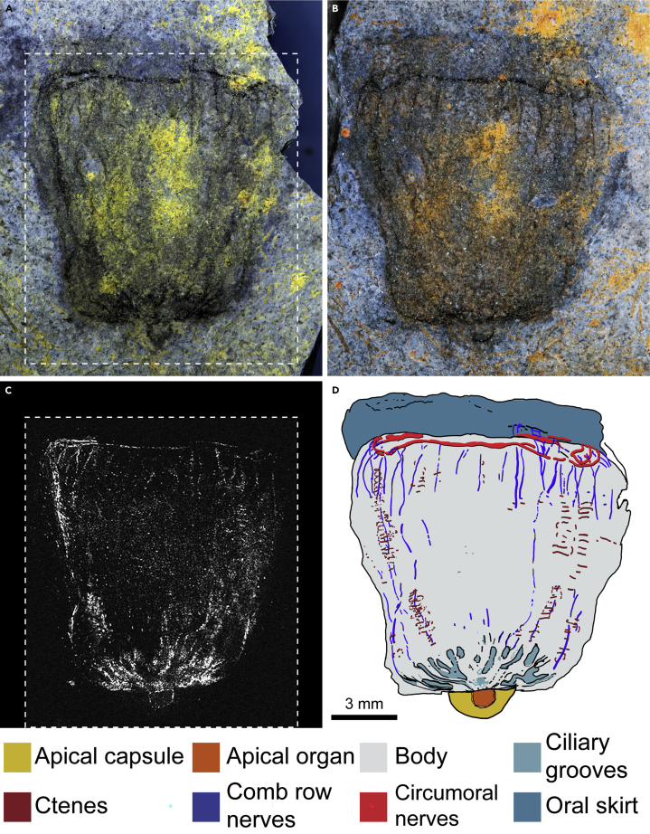 Figure 2