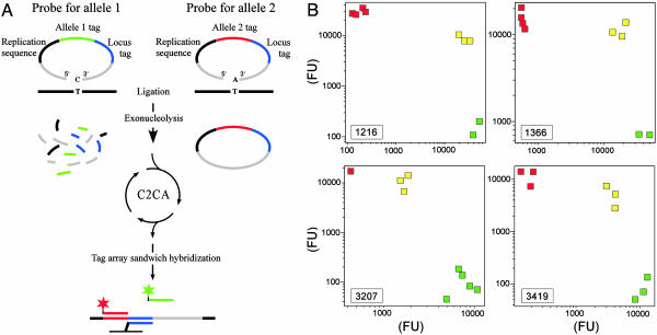 Fig. 3.