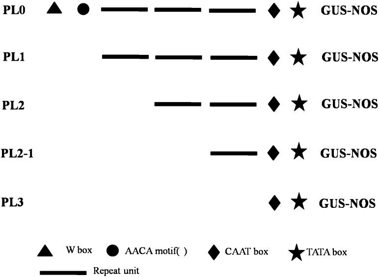 Fig. 1