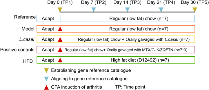 Figure 1: