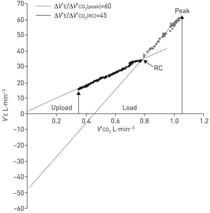 FIGURE 2