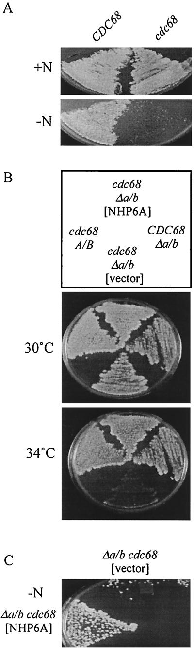 FIG. 3