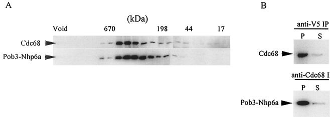 FIG. 6