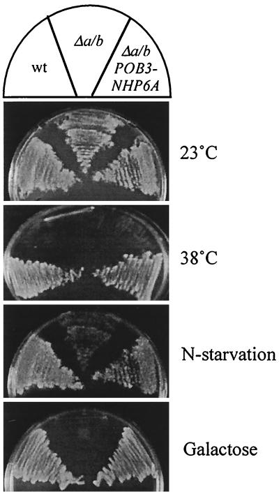 FIG. 5