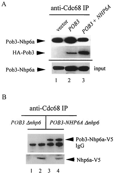 FIG. 7