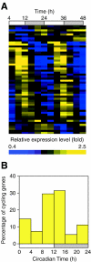 FIG. 1.
