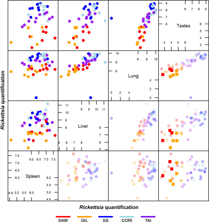 FIG 5