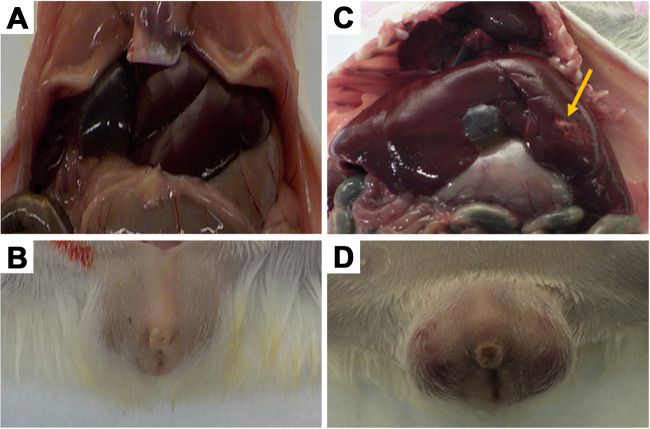 FIG 3