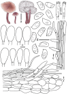 Figure 8.