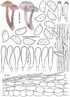 Figure 11.