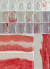 Figure 10.