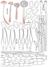 Figure 15.