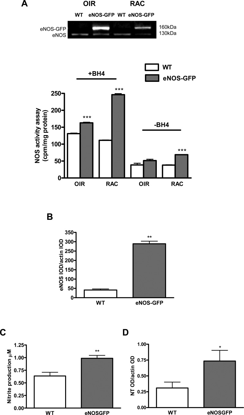 
Figure 11. 
