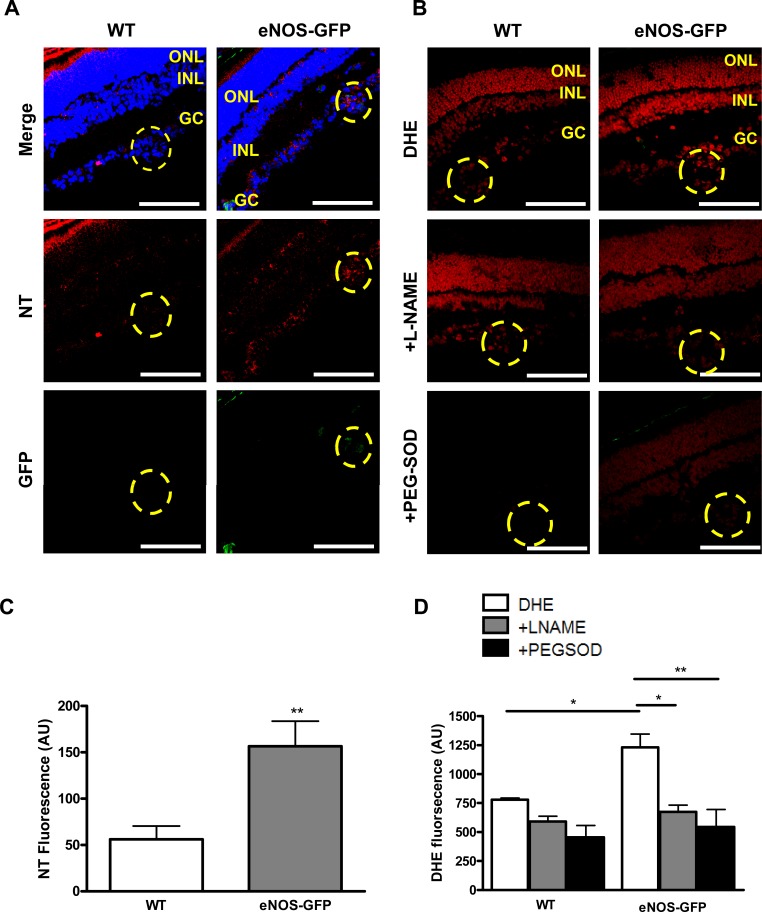 
Figure 12. 
