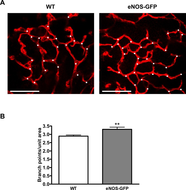 
Figure 10. 
