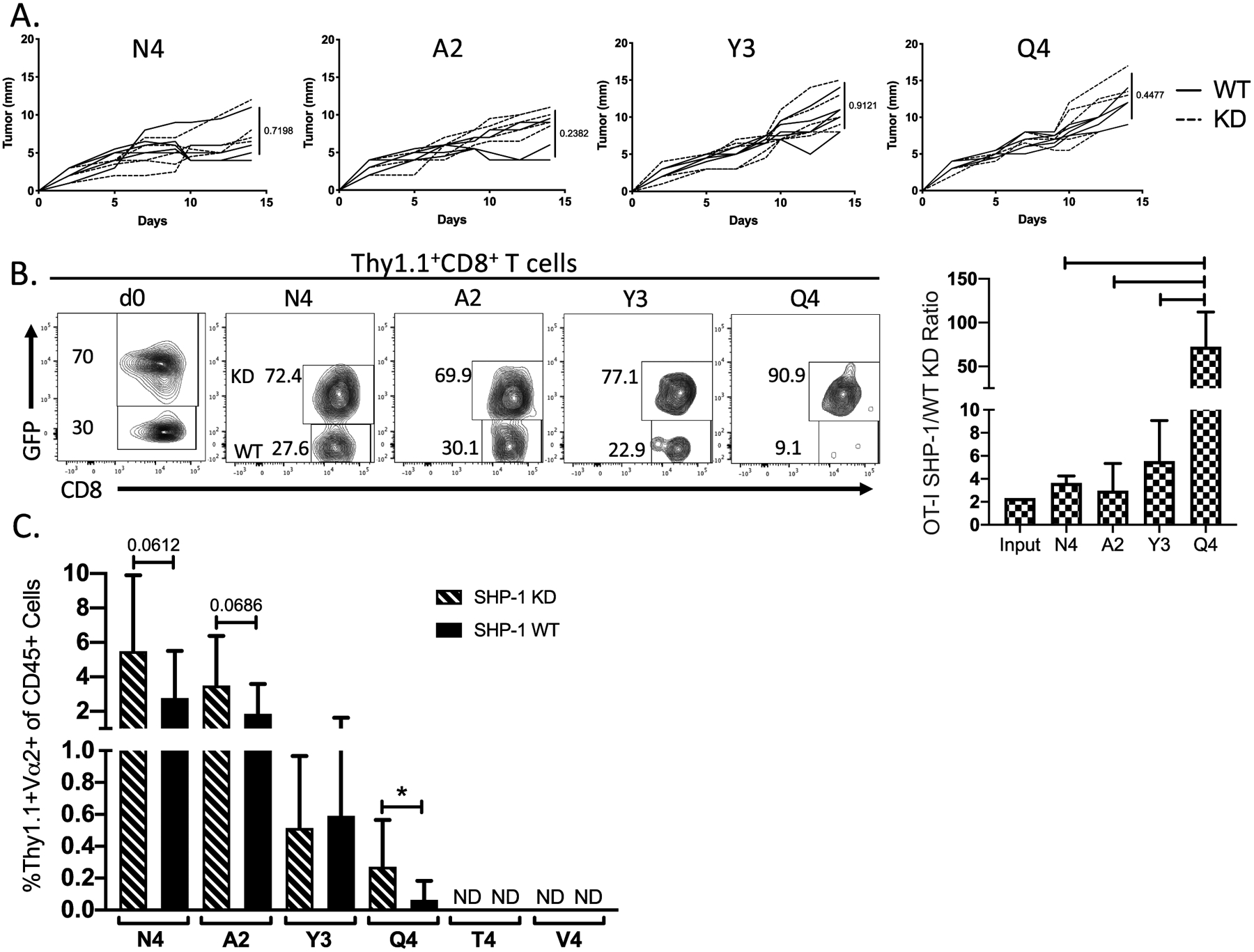 Figure 4: