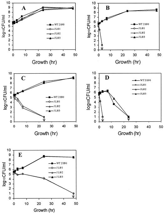 FIG. 2.