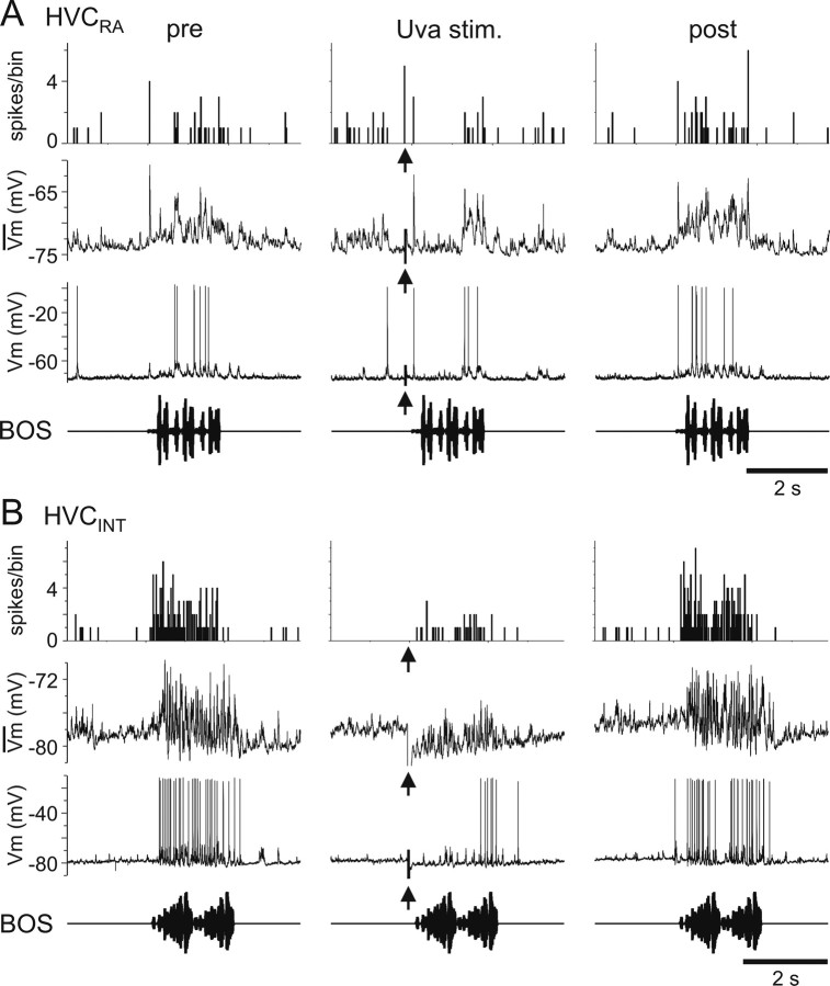 Figure 9.