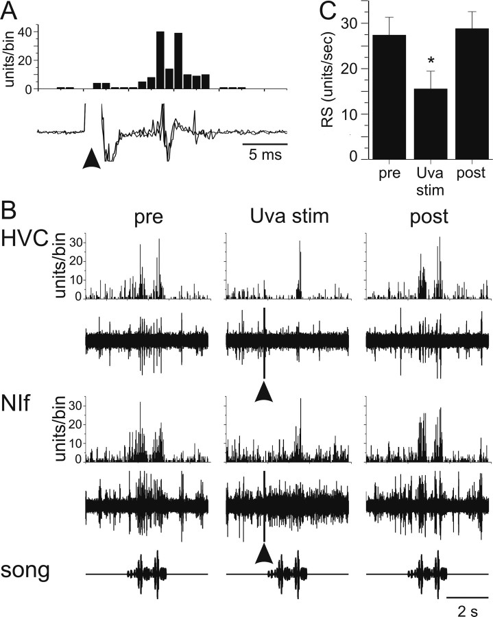 Figure 13.