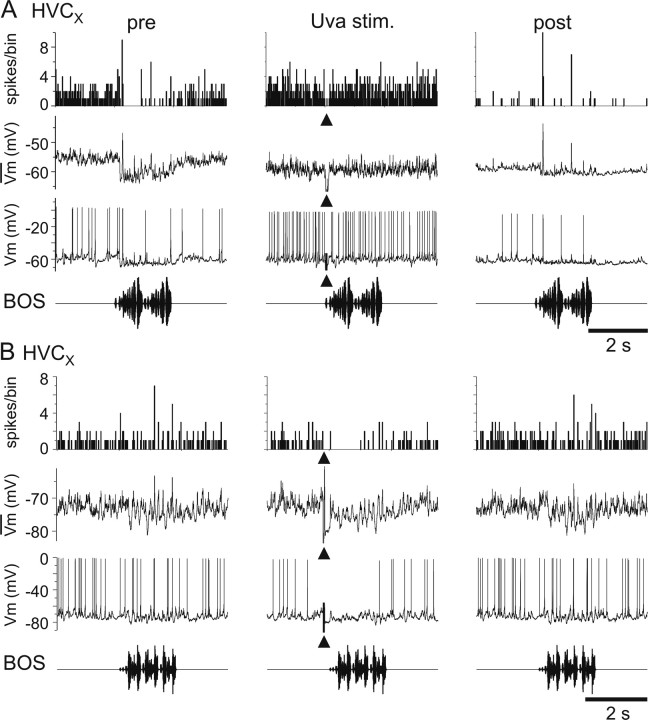 Figure 10.