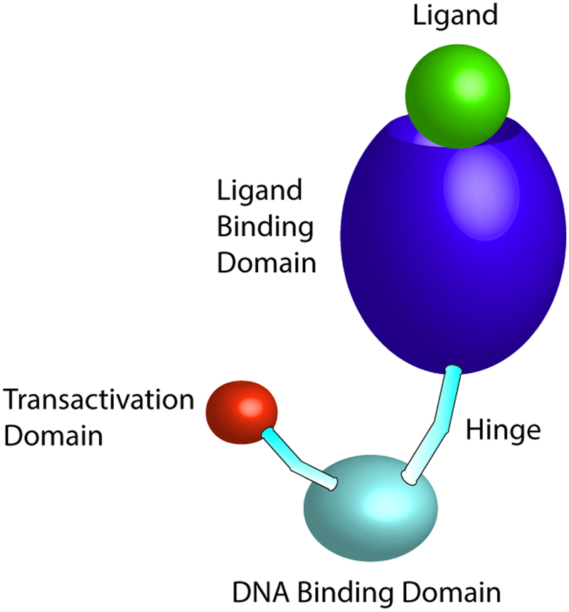 Figure 1.