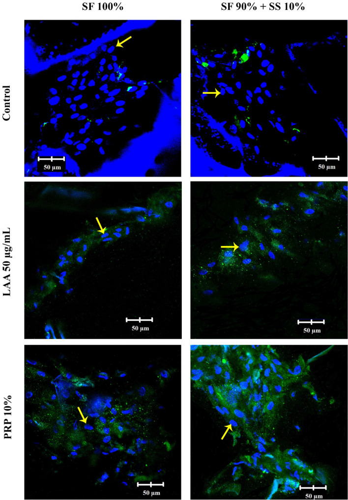 Figure 13