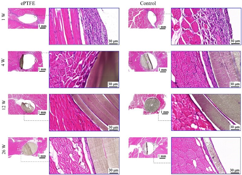 Figure 10.