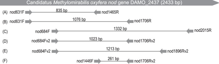 FIG 1