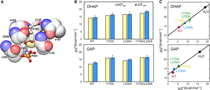 Figure 3.