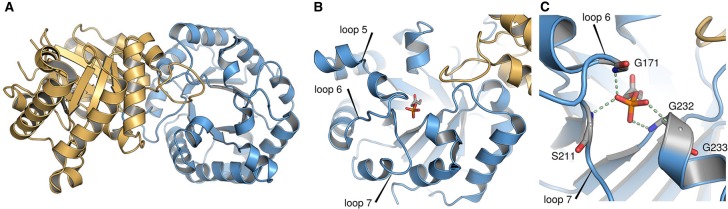 Figure 2.