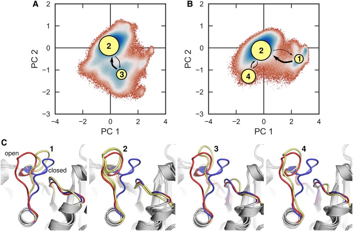 Figure 5.