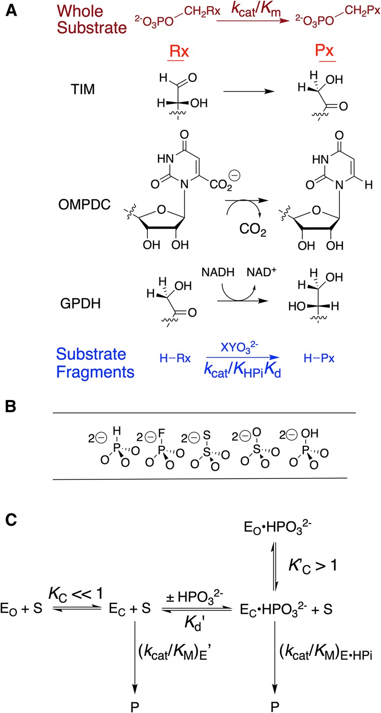 Figure 1.