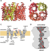 Fig. 3