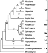 Fig. 2.