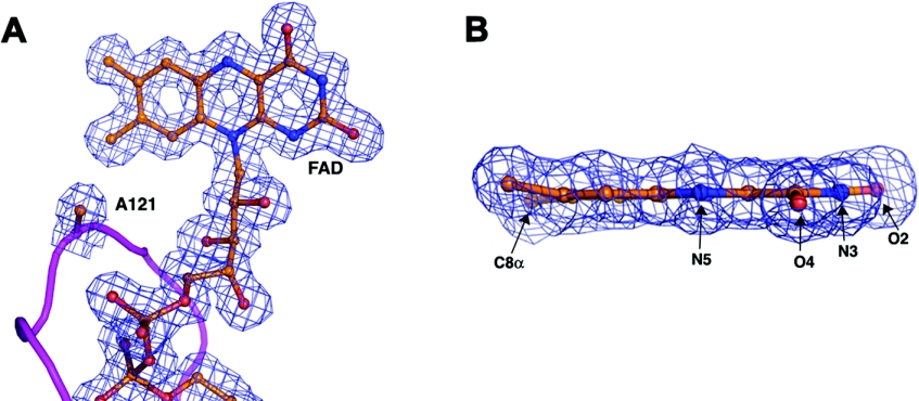 Figure 5