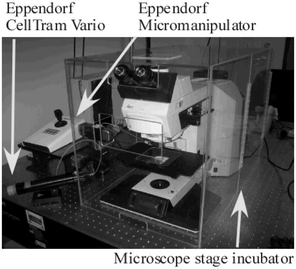 Figure 11