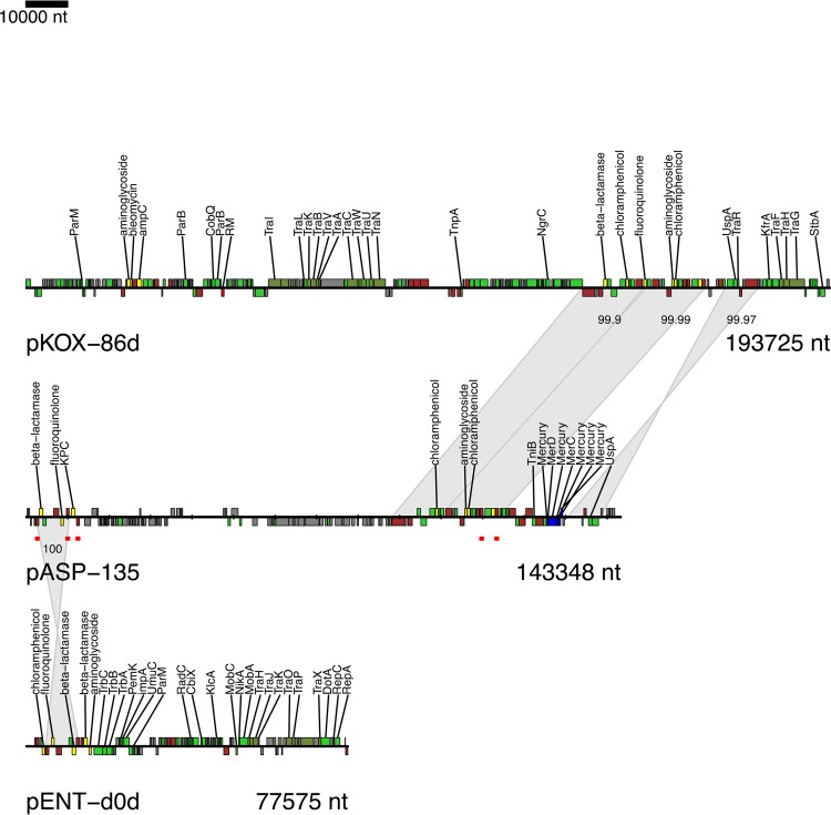 FIG 2