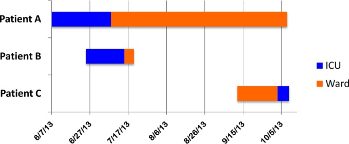 FIG 1