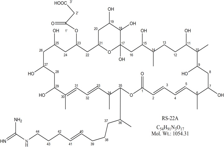 FIGURE 3