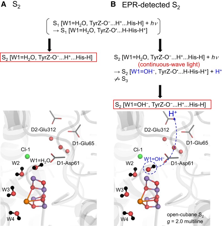 Fig. 4.