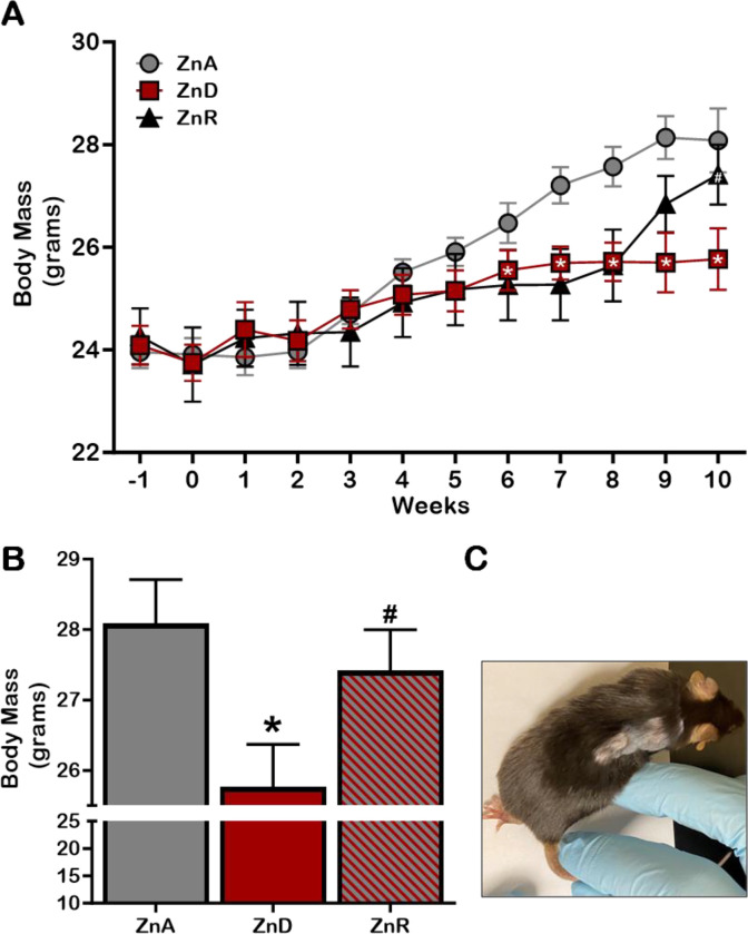 Figure 2: