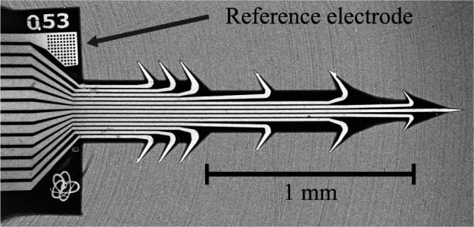 FIGURE 3.