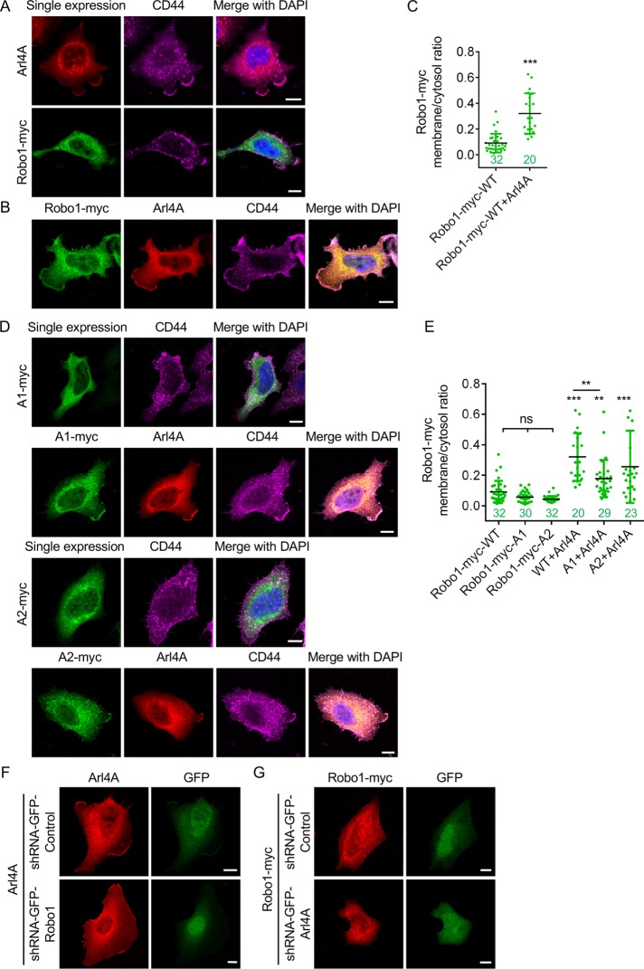 FIGURE 3: