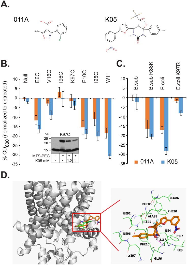 Fig 6