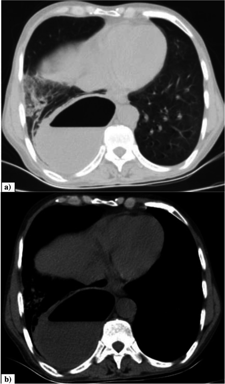 Fig. 8
