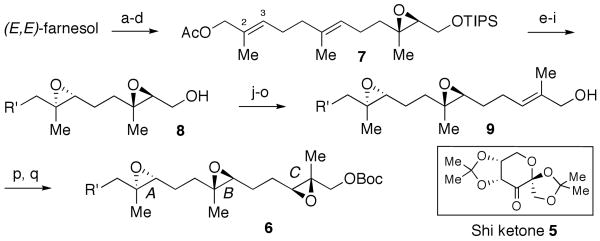 Scheme 2