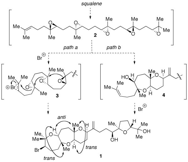 Scheme 1