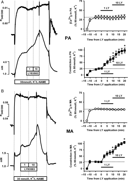 Figure 4